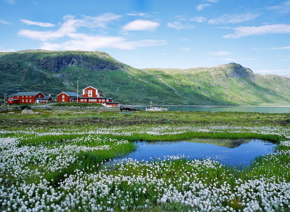 Firmatur til Jotunheimen med Balslev , Firmatur til Jotunheimen Balslev Expert Reiser
