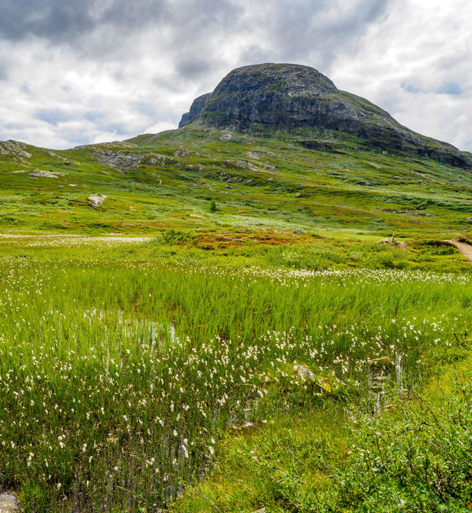 Firmatur i Norge med Balslev, Firmatur til Bygdin