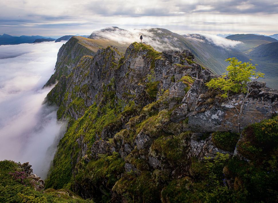 Firmatur i Norge med Balslev