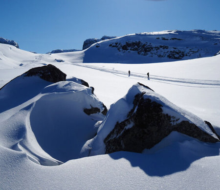 Julebordstur til Finse