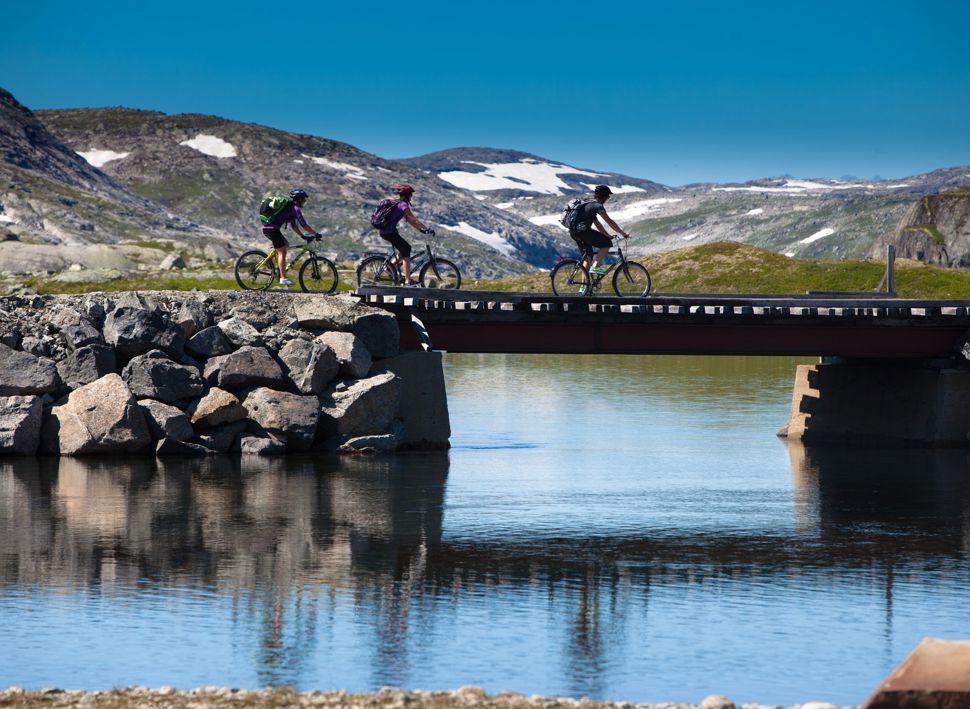 Firmatur til Finse og Flåm med Balslev - Rallarvegen